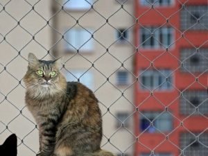 Telas de proteção em prédios em Osasco