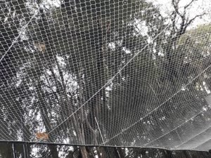 Redes de segurança para creches em Osasco