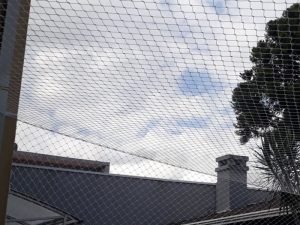 Redes de proteção para Gatos em Osasco
