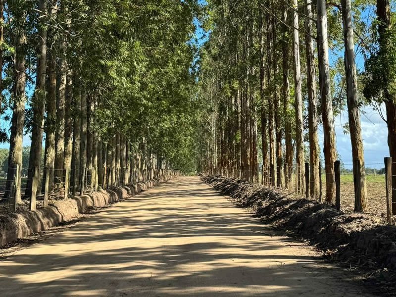 transfer para caraiva na bahia